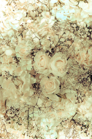 White roses wall - vintage tone, can be used as backgroundの写真素材