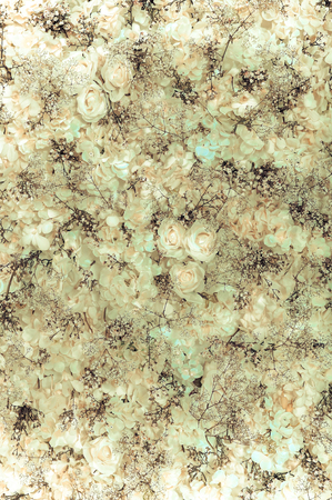 White roses wall - vintage tone, can be used as backgroundの写真素材