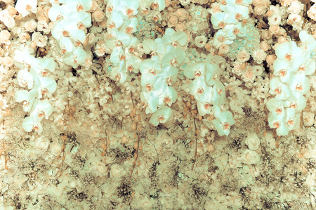 White roses and white orchids - vintage tone, can be used as backgroundの写真素材