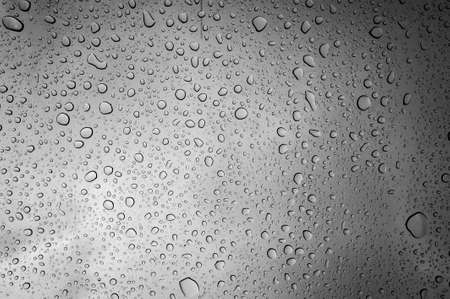 Water drops background - black and whiteの写真素材