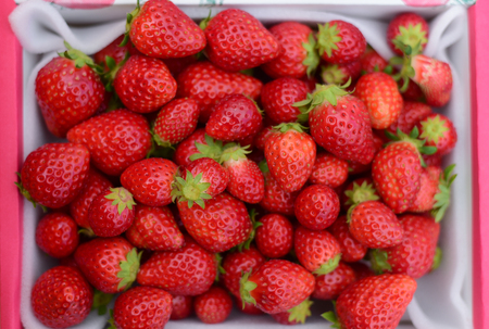 Fresh Strawberries in basketの写真素材