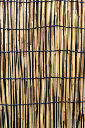 Wood background curtain wallpaper.の写真素材