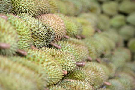 Close up Durian , King of a fruitの写真素材