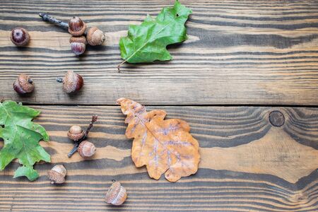 Flat lay acorns and oak leaf on wooden background. autumn concept. Top view, copy spaceの写真素材