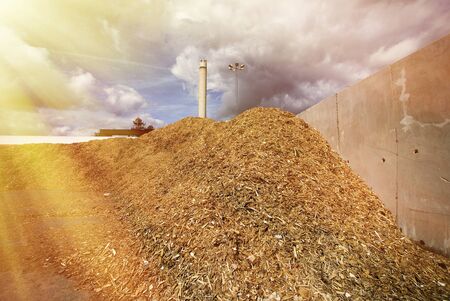 storage of wooden fuel (biomass) against blue skyの写真素材