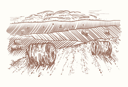 Rural landscape hand drawnのイラスト素材
