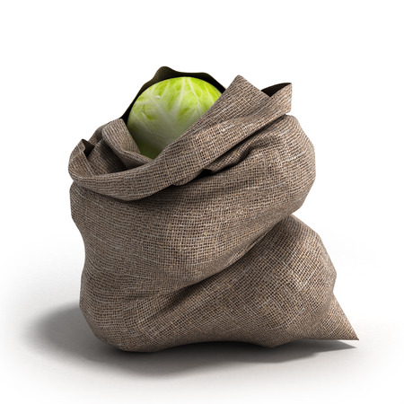 cabbage bag 3d render on white backgrowndの写真素材