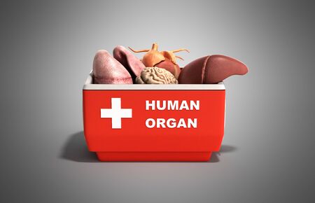 organ transportation concept open human organ refrigerator box red 3d render on grey backgroundの写真素材