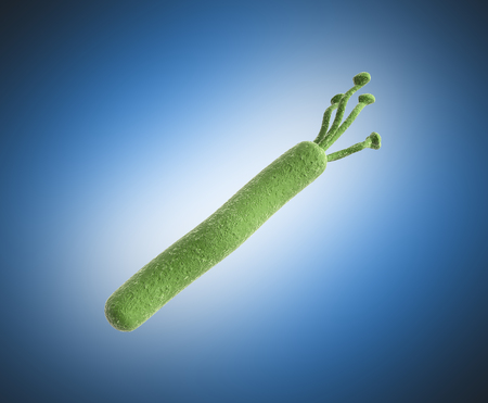 helicobacter pylori 3d render image on blueの写真素材