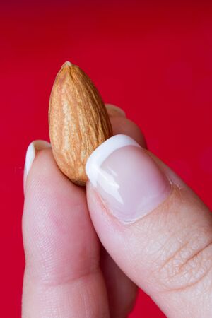 one almond in a girl handの写真素材