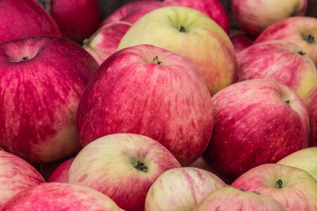 background of many beautiful, juicy red and green applesの写真素材