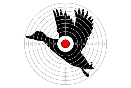 The target shooting with centre of duck, vectorのイラスト素材