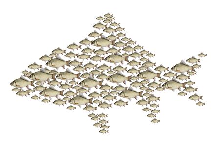 Flock of fish illustrationの写真素材