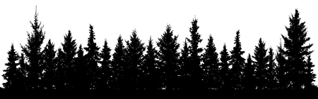 Forest of Christmas fir trees silhouette. Coniferous spruce. Park of evergreen wood. Vector on white backgroundのイラスト素材