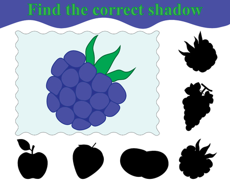 Find the correct shadow of blackberry. Education. Game for children. Vector illustration.のイラスト素材