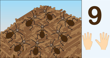 Ants. Number 9 (nine). Learning counting, mathematics. Education for kids. Vector illustration.のイラスト素材