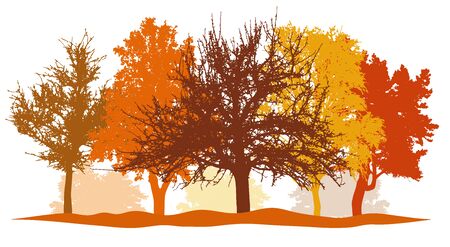 Silhouettes of autumn trees (park, forest) bright colors. Silhouettes of bare trees without foliage. Vector illustrationのイラスト素材