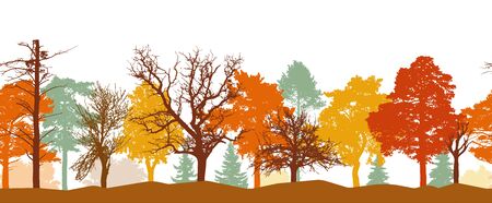 Seamless pattern of autumn forest silhouette. Bright colors of trees. Silhouettes of bare trees. Vector illustration.のイラスト素材