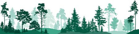 Fir trees forest. Isolated on white background. Vector illustrationのイラスト素材