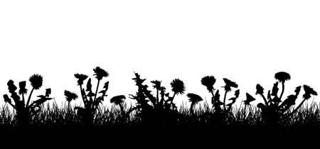 Dandelion flowers in grass, silhouette of field (meadow). Vector illustrationのイラスト素材