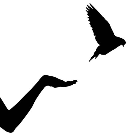 Dove bird flew up from female hand, isolated silhouette. Vector illustrationのイラスト素材
