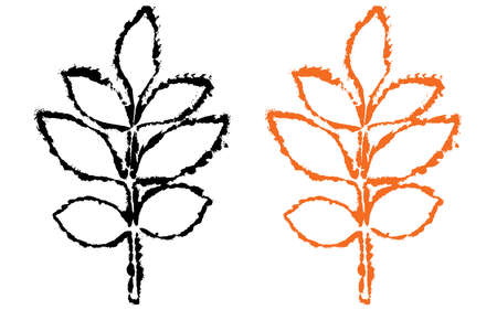 Brunch of leaves of ash tree, vector illustration.のイラスト素材