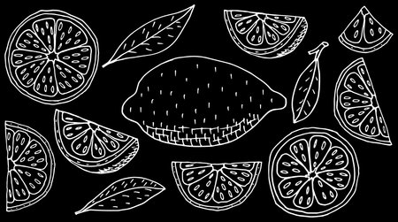 Fruit lemon hand drawing. Set of whole and slice, and quarter of lemon. White contour of fruit on black background. Vector illustration.のイラスト素材