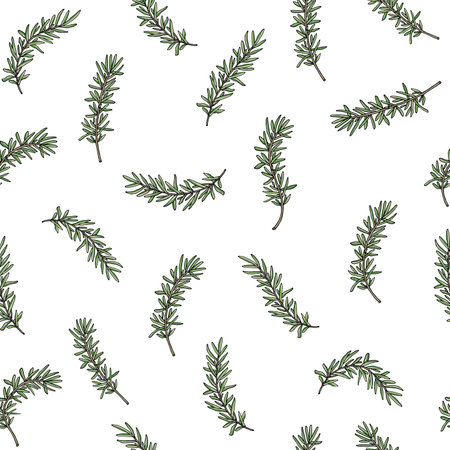 Seamless pattern of rosemary branch. Vector illustration.のイラスト素材