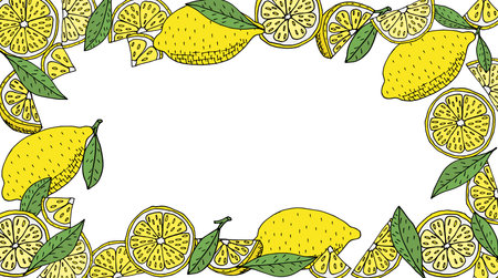 Lemon frame hand drawn. Yellow whole lemons and slices and quarter and green leaves of lemon tree. Vector illustration.のイラスト素材