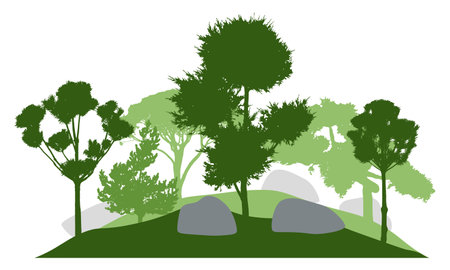 Silhouette of garden with decorative trees. Beautiful coniferous trees. Vector illustration.のイラスト素材