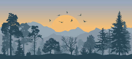 Beautiful forest on background of mountains and sunset and flying birds, silhouettes. Vector illustrationのイラスト素材