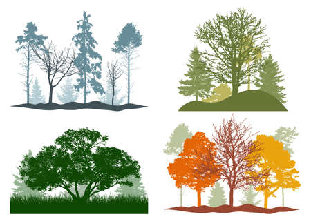 Four seasons, silhouette of summer, autumn, winter, spring woodland, landscape. Vector illustrationのイラスト素材