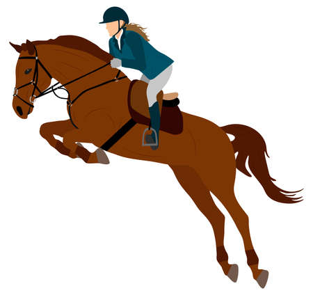 Horse rider, horse jump in equestrian sports. vector illustrationのイラスト素材
