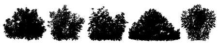 Bush, set of silhouettes. vector illustrationのイラスト素材