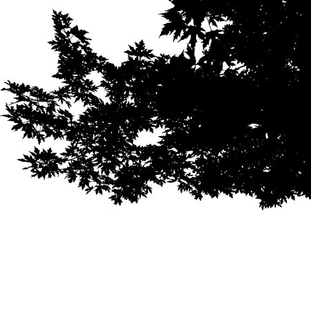Silhouette of branches deciduous tree. vector illustrationのイラスト素材