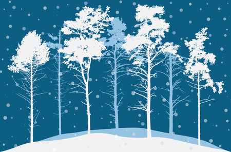 Coniferous winter forest at night. Silhouette of nature, landscape. Beautiful realistic pine trees. vector illustrationのイラスト素材