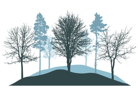 Winter woodland, silhouette of bare trees, pines. Beautiful nature, landscape. vector illustrationのイラスト素材