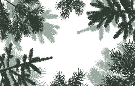 coniferous branches of trees silhouette, background. vector illustrationのイラスト素材