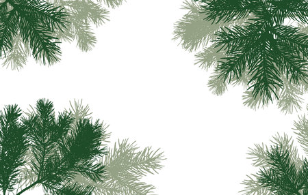 coniferous branches of trees silhouette, background. vector illustrationのイラスト素材