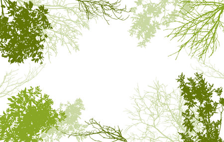 Deciduous and bare branches of trees silhouette, background. vector illustrationのイラスト素材