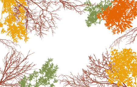 Autumn frame of deciduous branches of trees, silhouette, background. Vector illustrationのイラスト素材