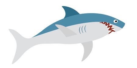 White shark cartoon vector illustration. Predatory fishのイラスト素材