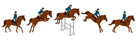 Show jumping, equestrian sports. Horse rider and horse, jumping in barrier. Vector illustrationのイラスト素材