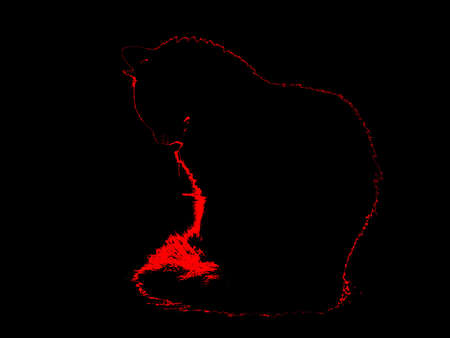 Photograph-based illustration of a silhouette of a cat on black backgroundの写真素材