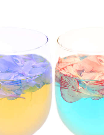 Conceptual image titled "You Are What You Drink" - two wine glasses with blue and yellow drinks/water and with flower petals over whiteの写真素材