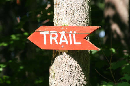 Trail Sign on a treeの写真素材