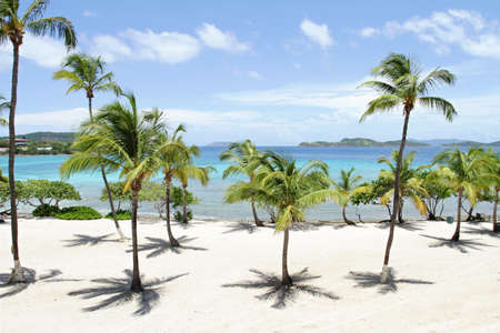 Tropical, Caribbean beach and ocean
