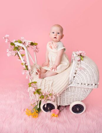 Baby sitting in a stroller pram, pink cherry blossom flowers and backgroundの写真素材