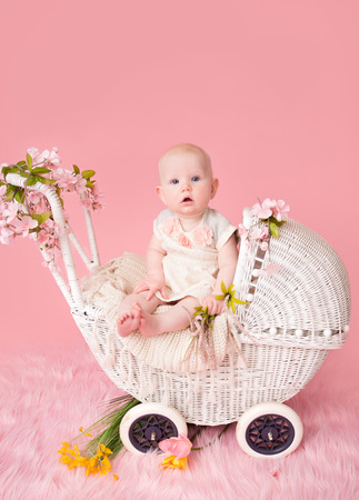 Baby sitting in a stroller pram, pink cherry blossom flowers and backgroundの写真素材