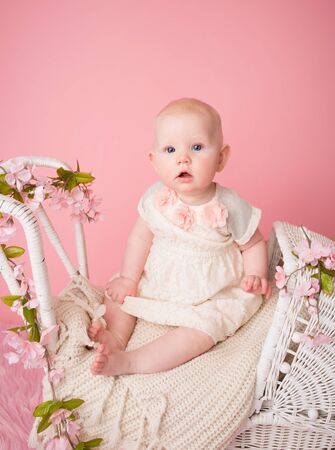 Baby sitting in a stroller pram, pink cherry blossom flowers and backgroundの写真素材